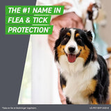 814CcTxB26L._AC_SX679_FRONTLINE_Plus_for_Dogs_Large_Dog_45_88_lbs_Flea_and_Tick_Treatment