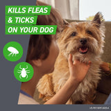 Dog being petted by a person with text about killing fleas and ticks on a gray background