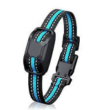Dog collar with blue accents on a white background